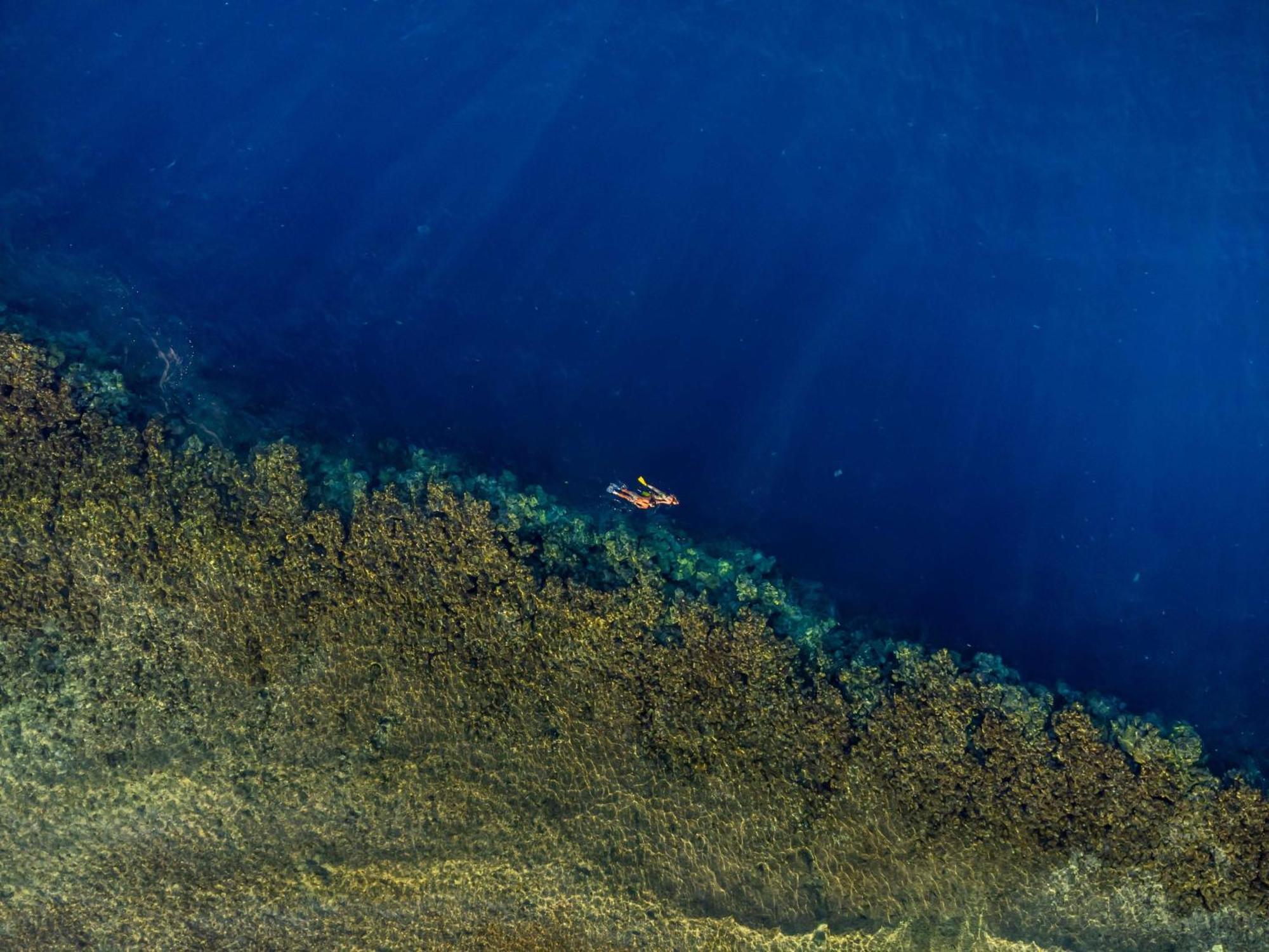 Rixos Sharm El Sheikh (Adults Only) Hotel Exterior photo A diver in the Blue Hole